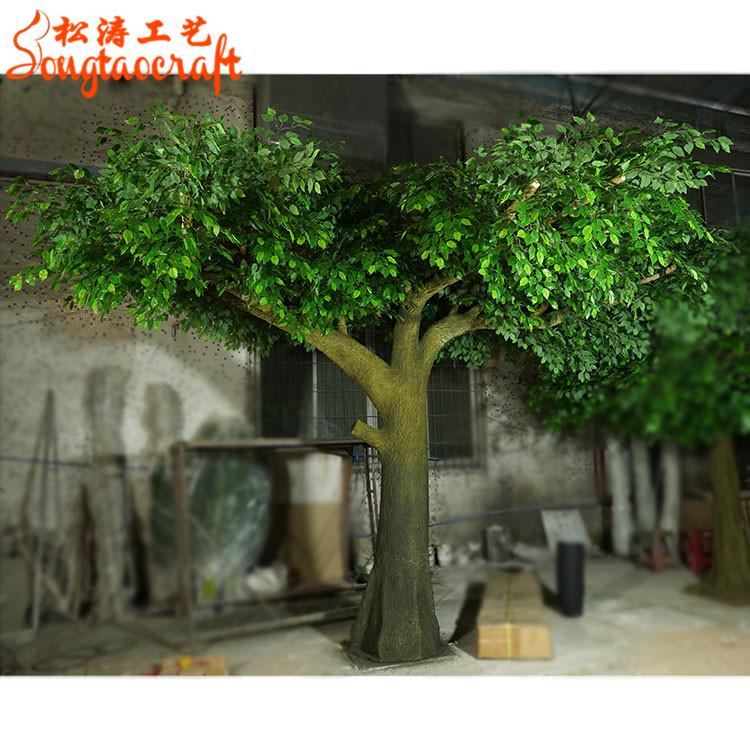 分叉假樹榕樹