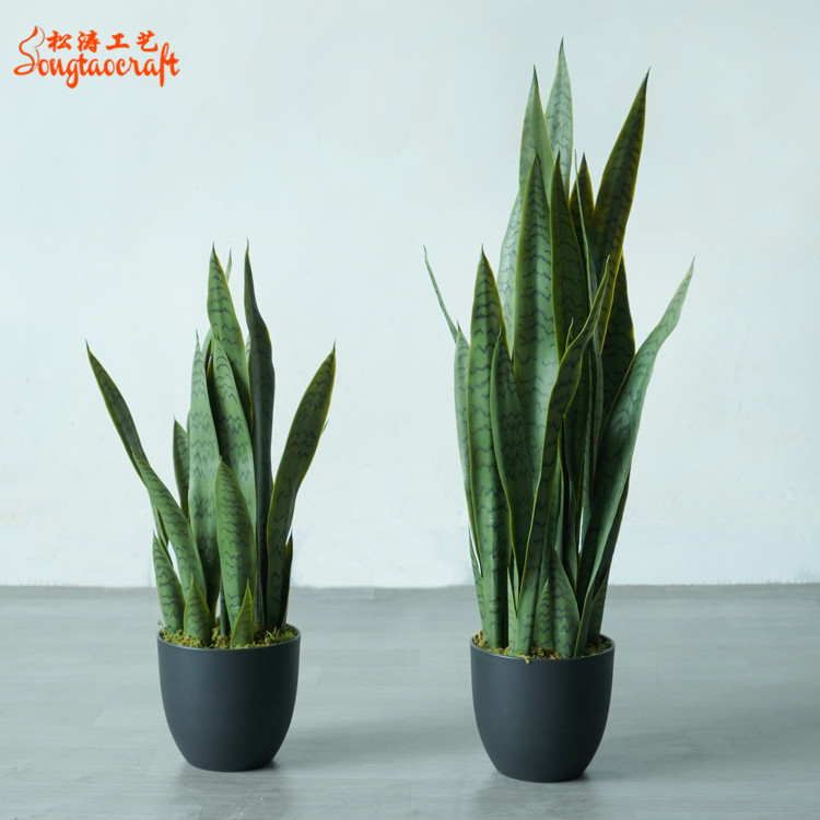 仿真綠色虎皮蘭