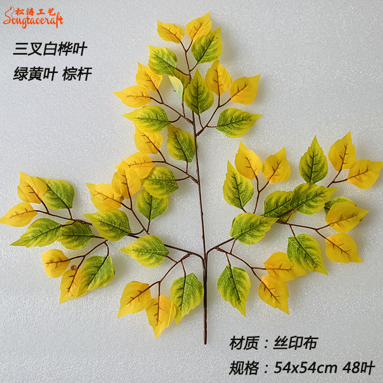 三叉樺樹葉