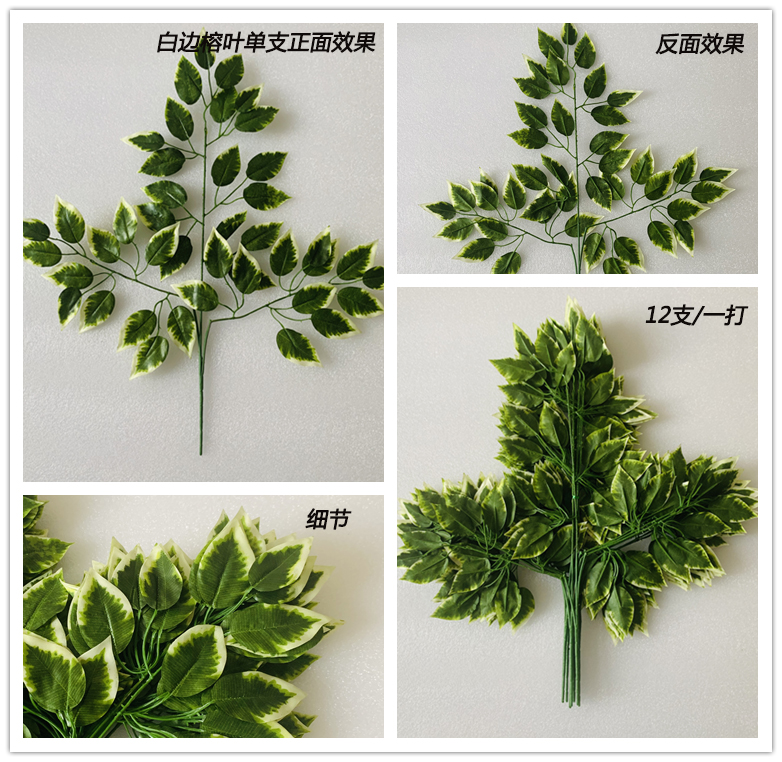 仿真白邊榕樹葉子