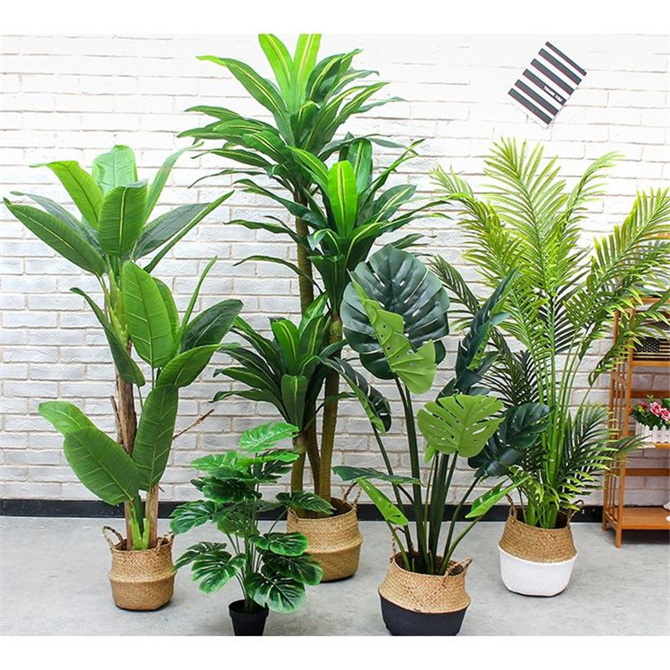 我為什么要選擇仿真植物來(lái)裝飾我的生活？